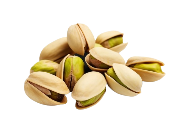 /trendcart/administrator/images/admin_uploads/-1716614948-thumb-pista.png